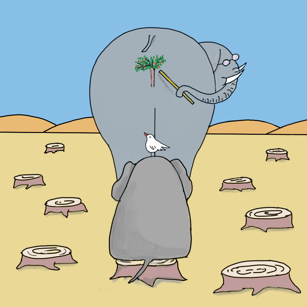 Elephant school #14 static token preview