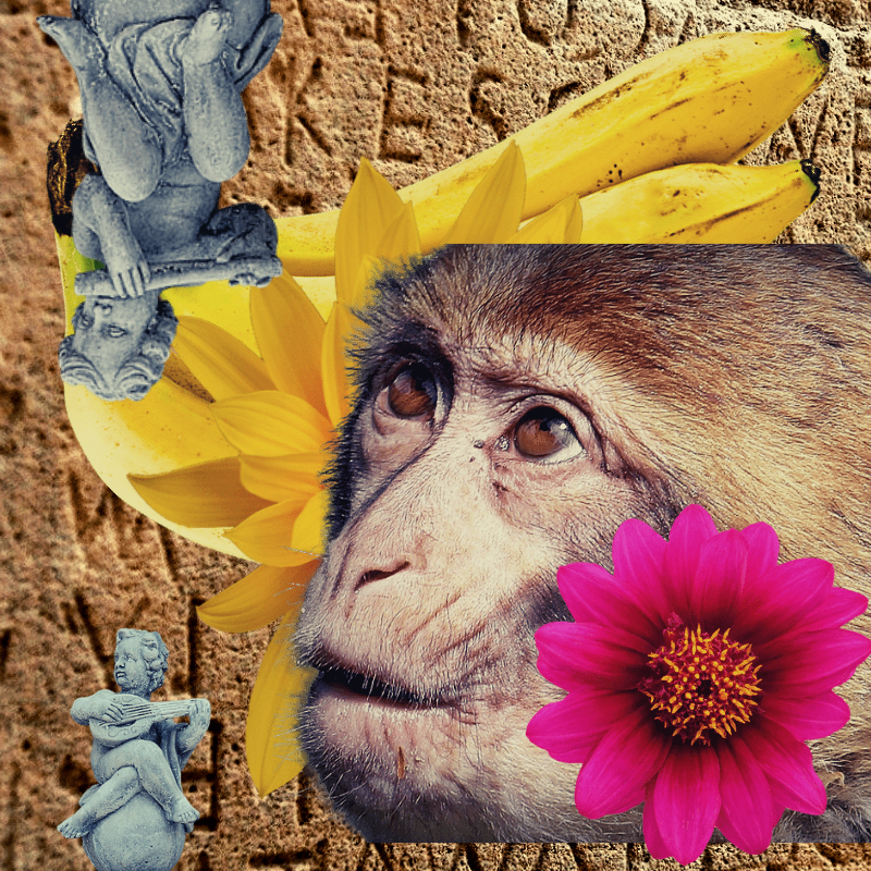 Banana flower #9 static token preview