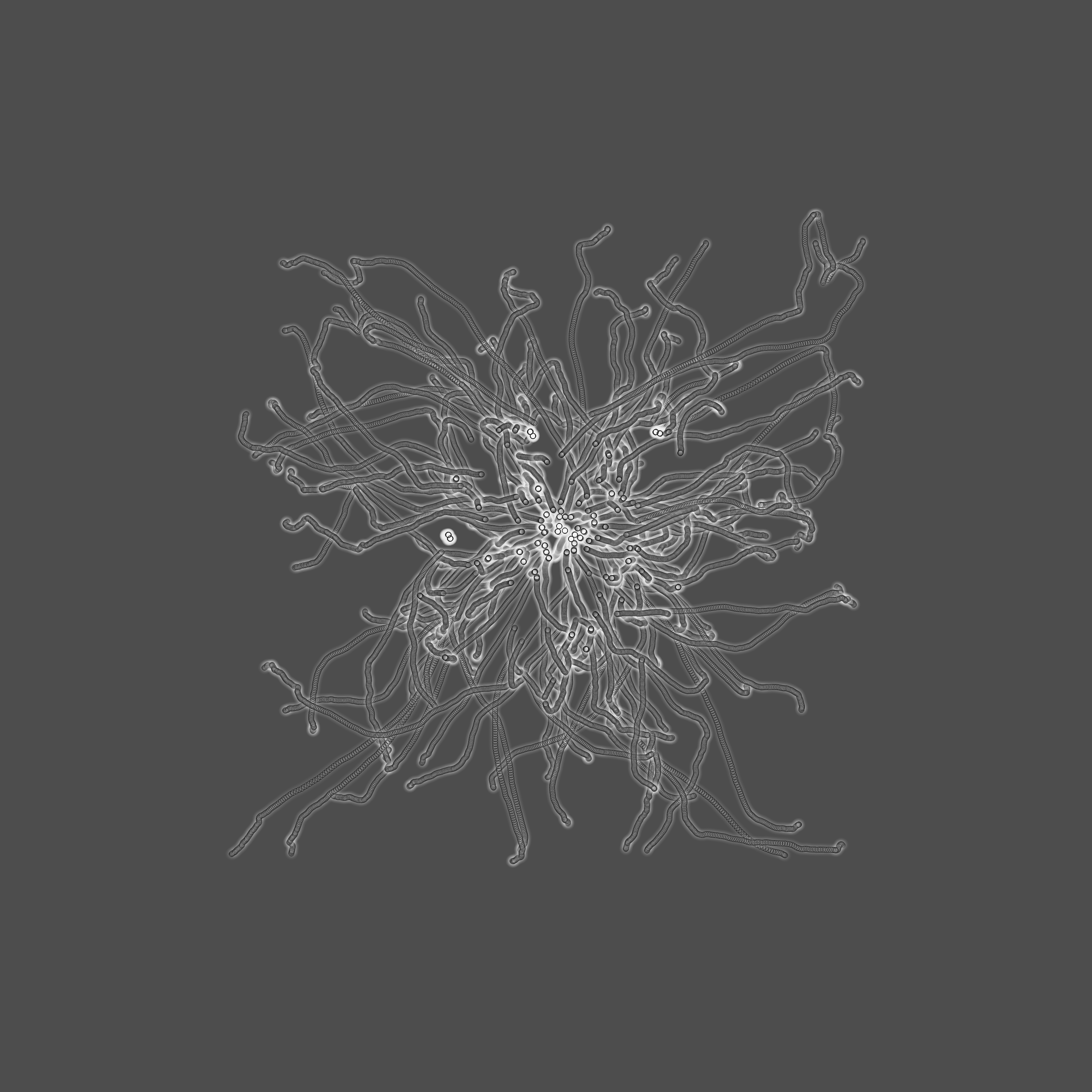 grey fungi wisdom #24 static token preview