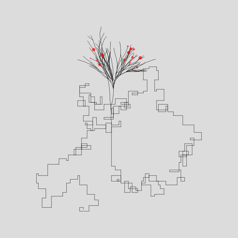 Algorithmic Tree #15 static token preview