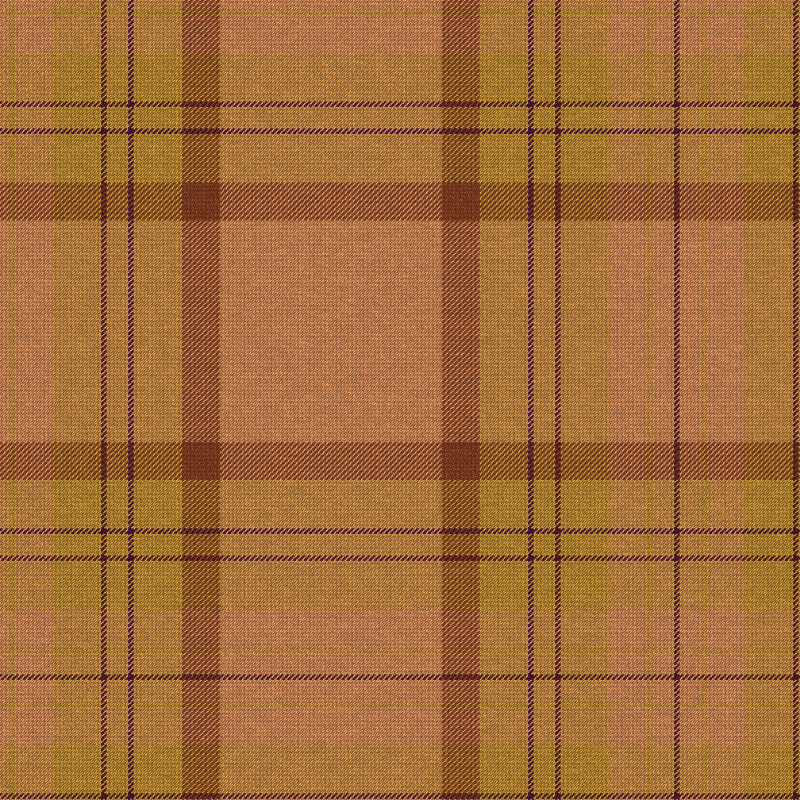 Tartan Cloth #20 static token preview
