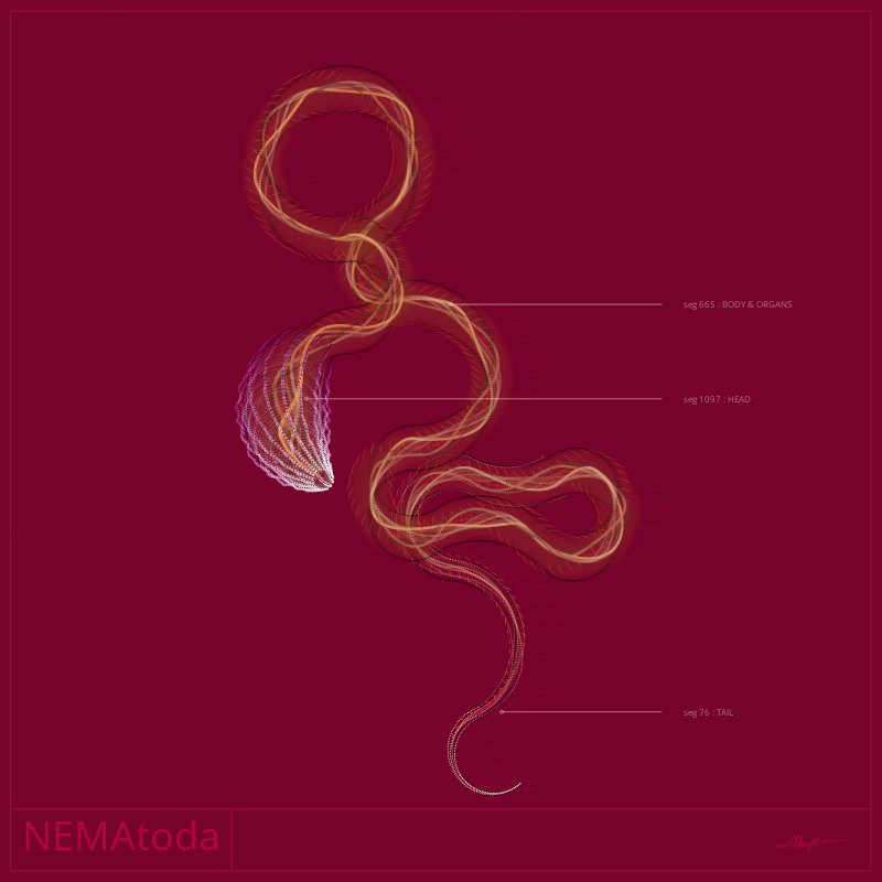 NEMA #14 static token preview