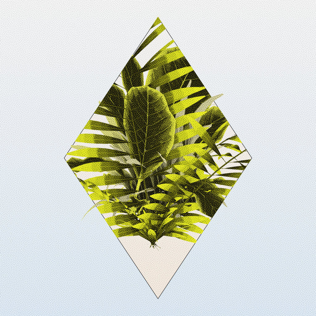 Botany #10 static token preview