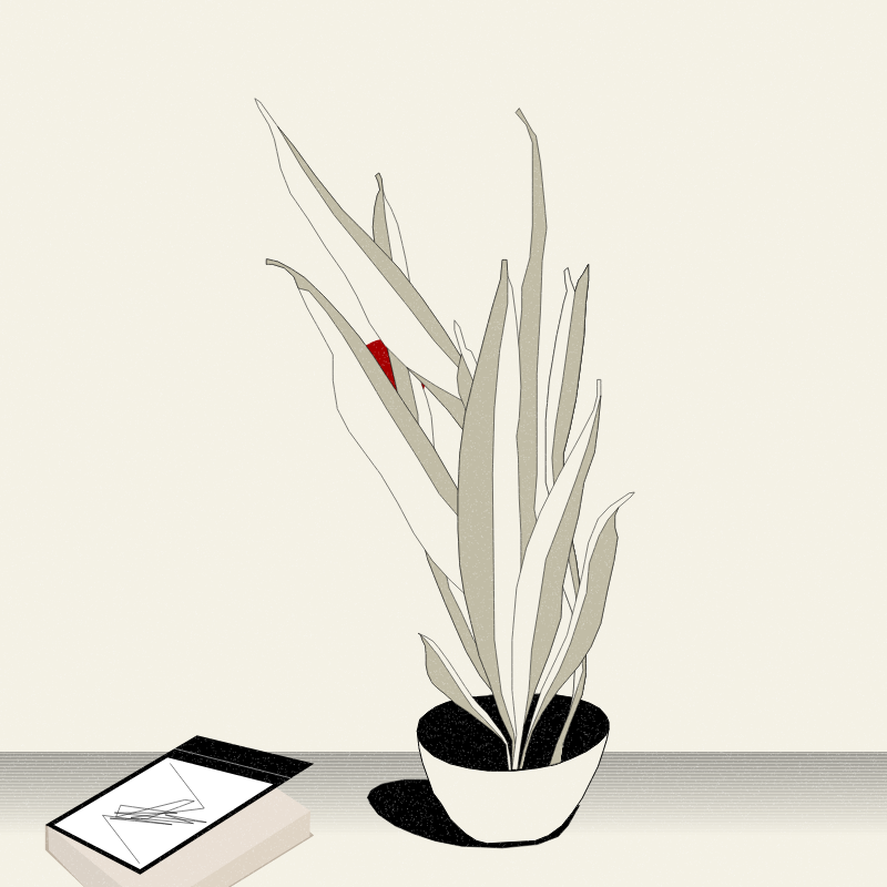 Still Life #2 #23 static token preview