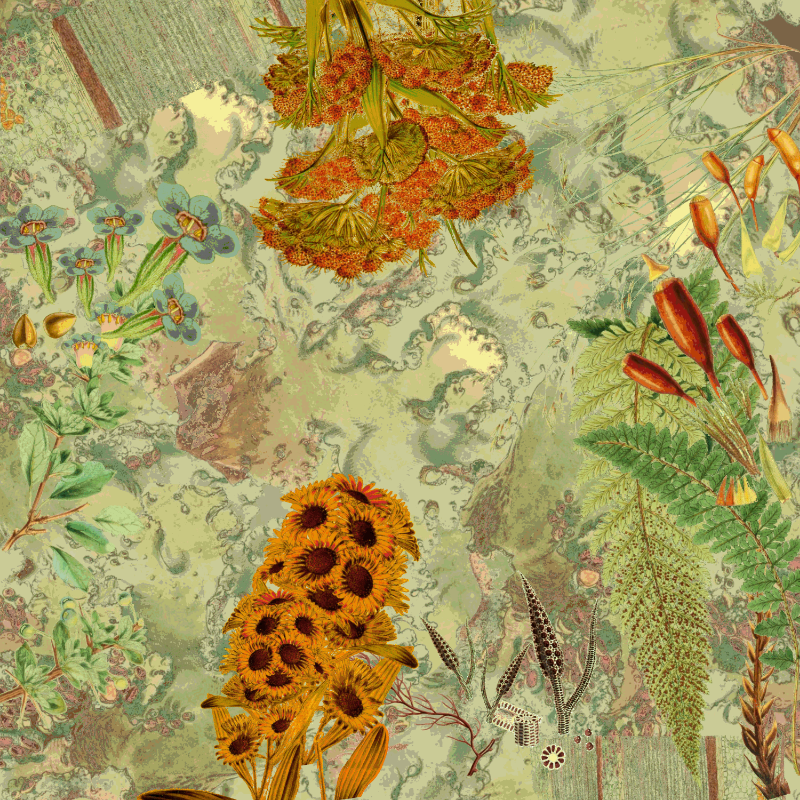 future flora from Antarctica's past #11 static token preview