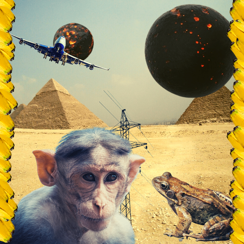 Banana & Pepe on mysterious trips #8 static token preview