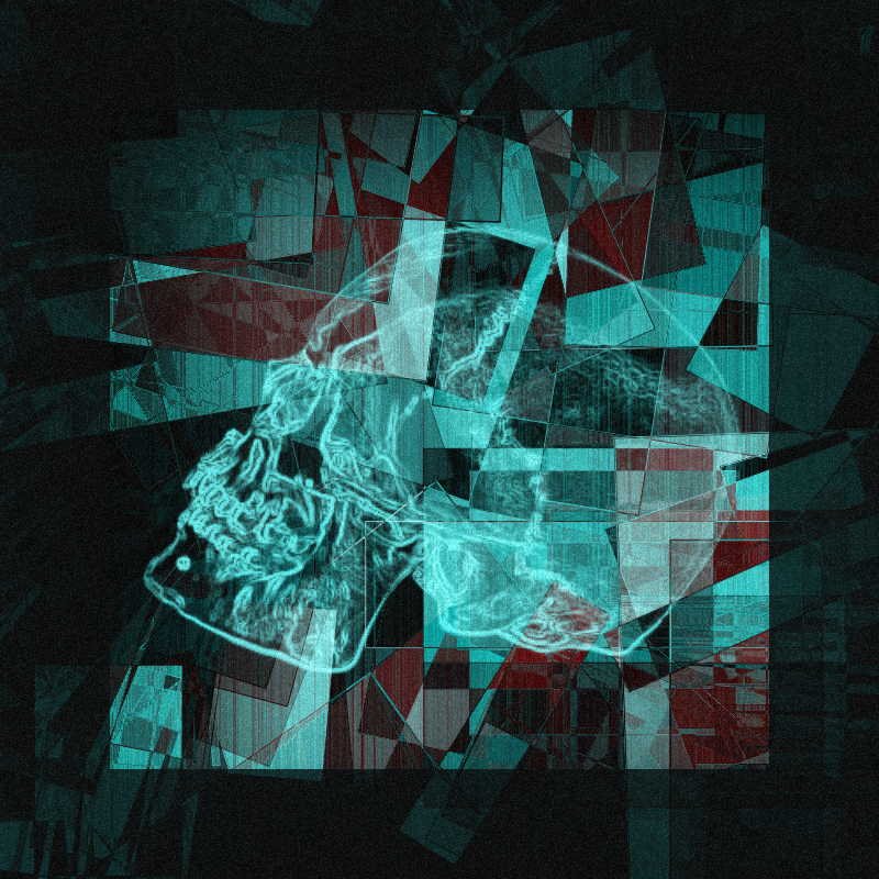 X-ray of a skull #1 static token preview