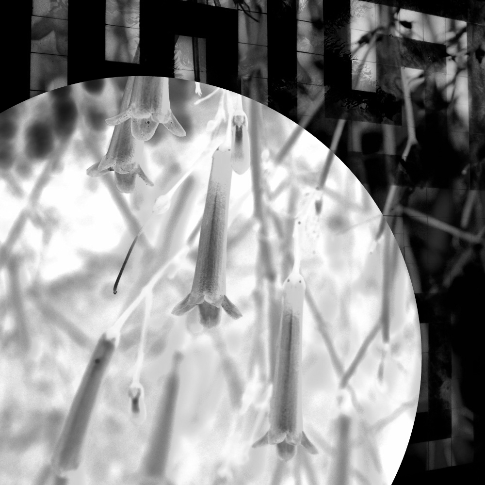 Subjective photography #1 #13 static token preview