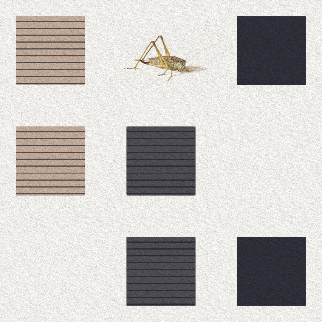Grasshopper #5 static token preview