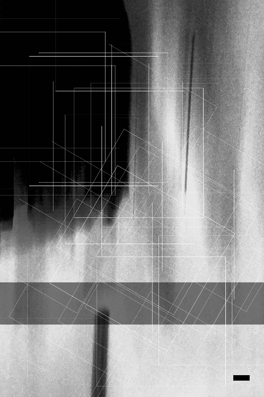 Shadow Zone 56 #19 static token preview