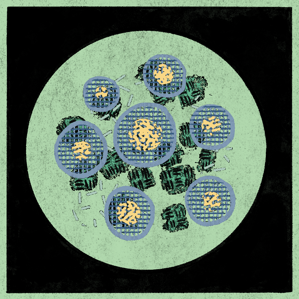 Microbes #2 static token preview