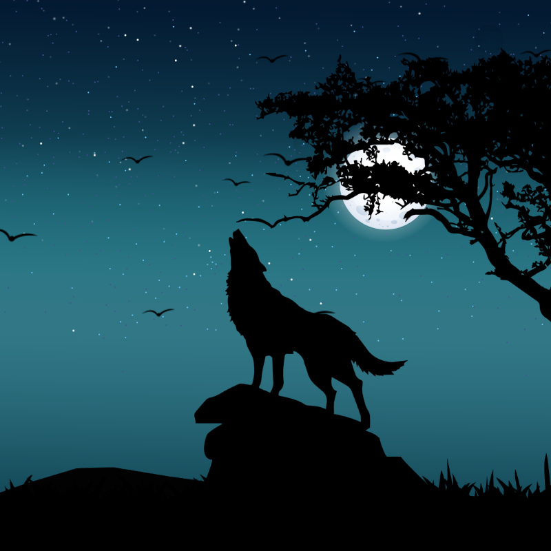We Care...Wolf #6 static token preview