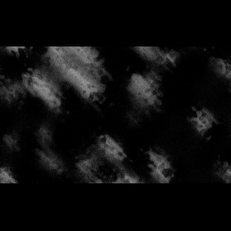 ƧЦBƧƬЯΛƬӨ DΣ PӨΣIЯΛ #23 static token preview