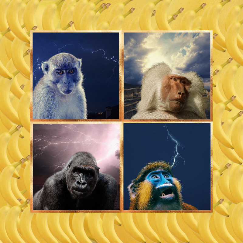 Banana legends #17 static token preview