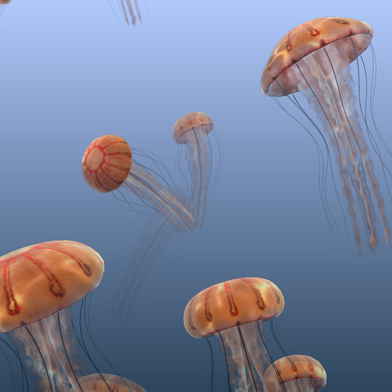Jellyfish #16 static token preview