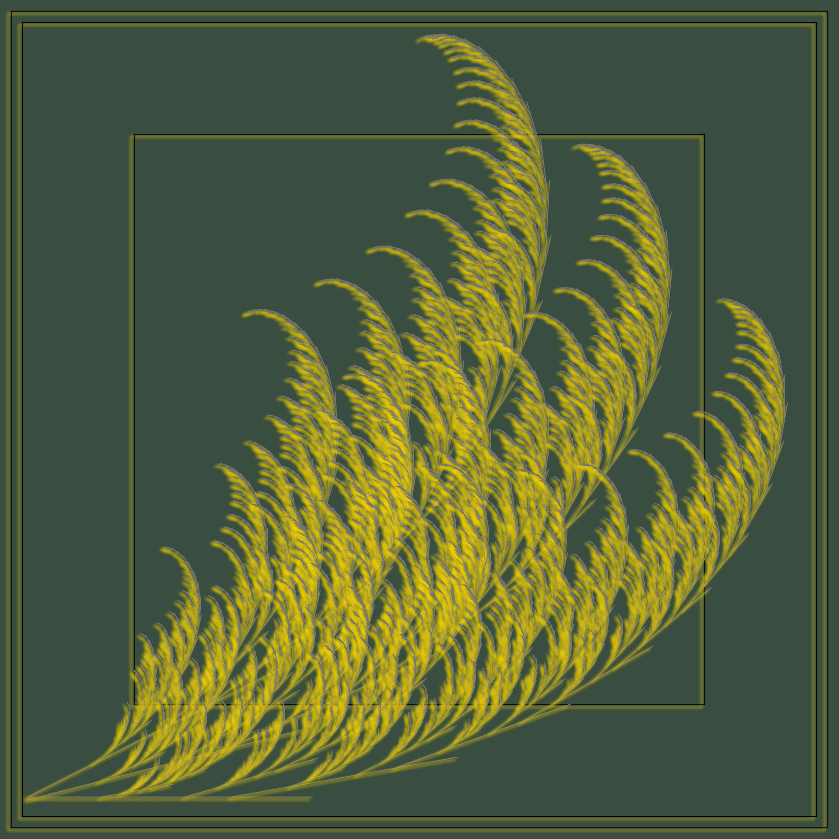 Fern #19 static token preview