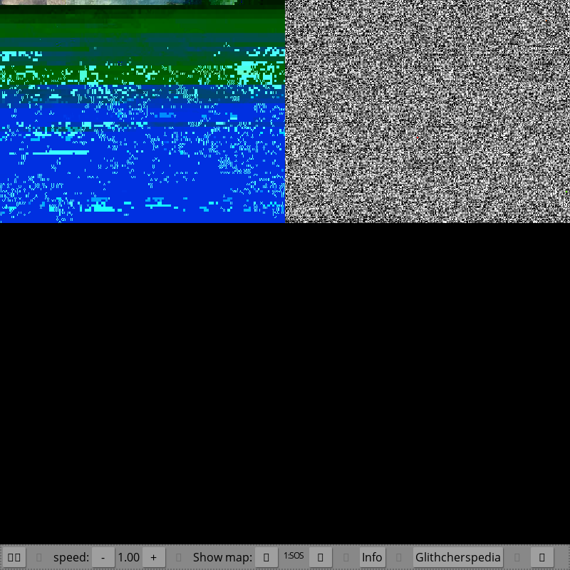 The Glitchers 1.0 - JPG with parasites #26 static token preview