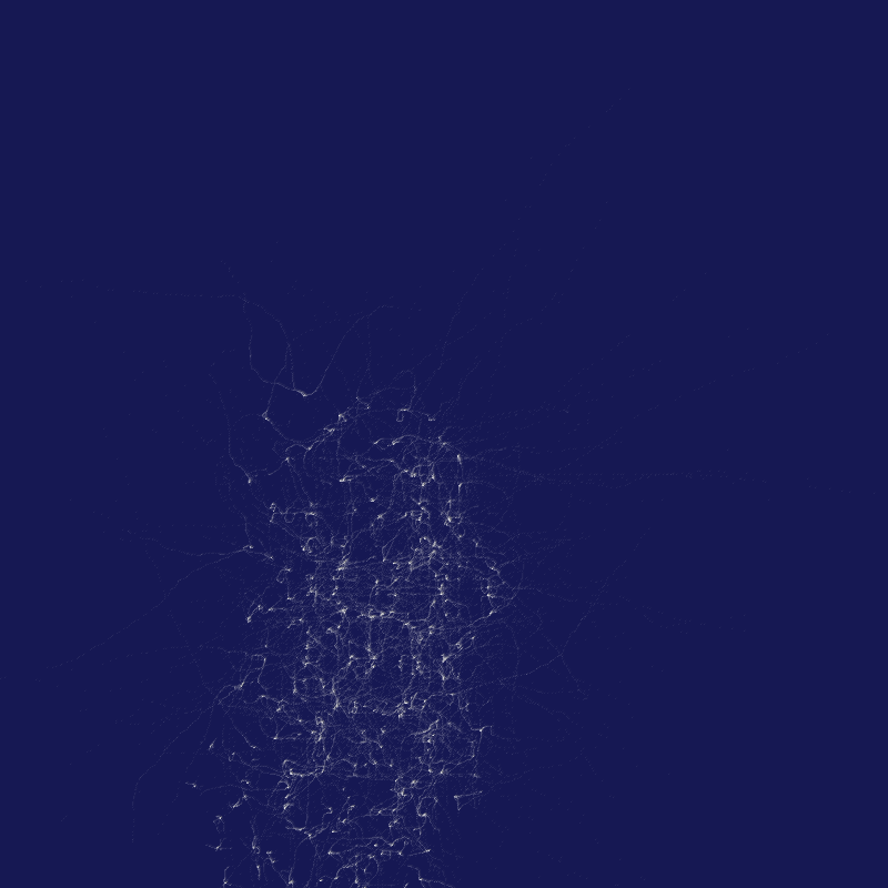 fibinous infection #10 static token preview