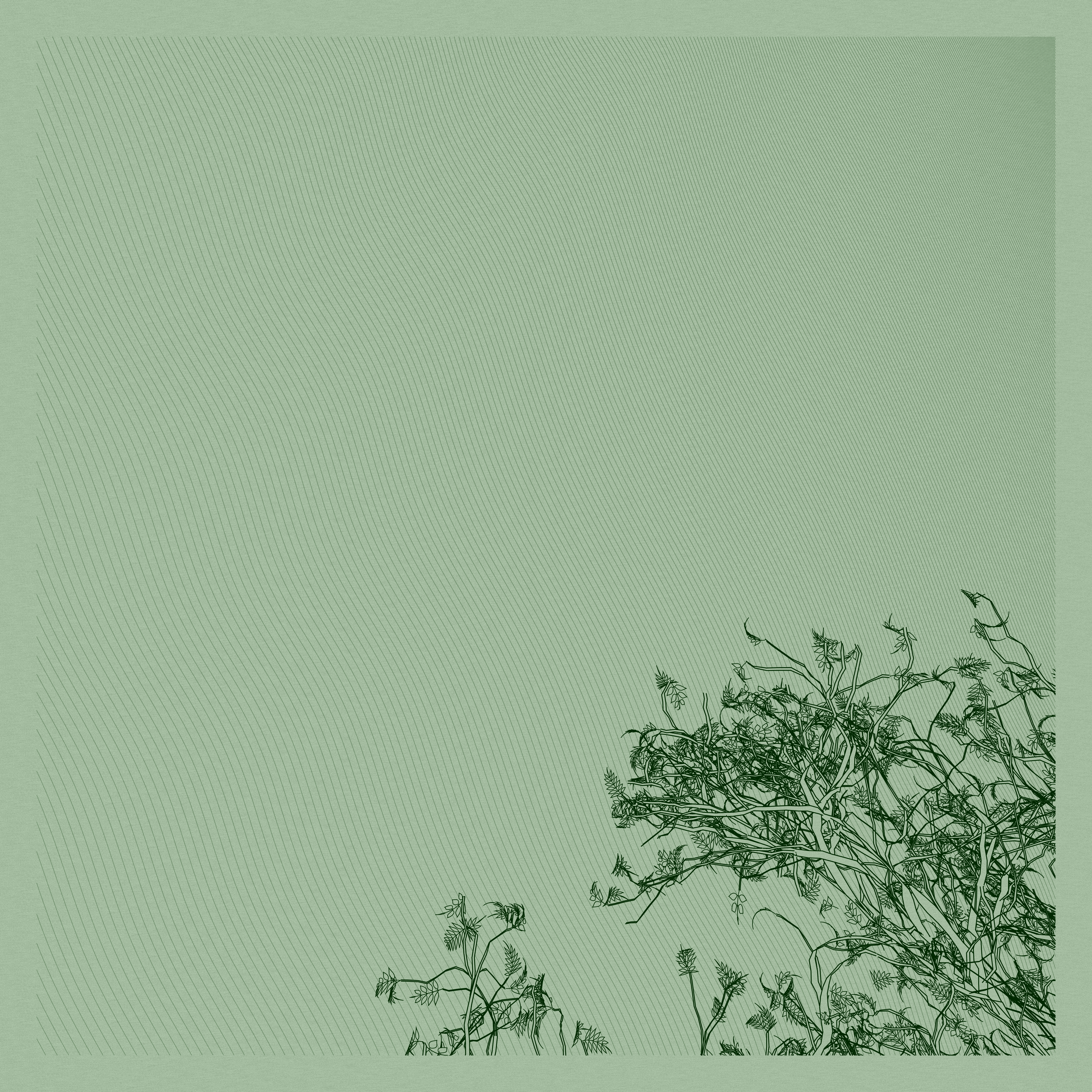 A Bugged Forest #407 static token preview