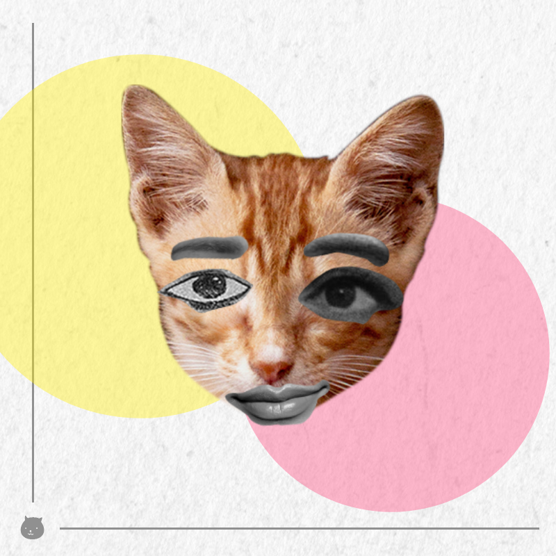 Kittenstein #24 static token preview