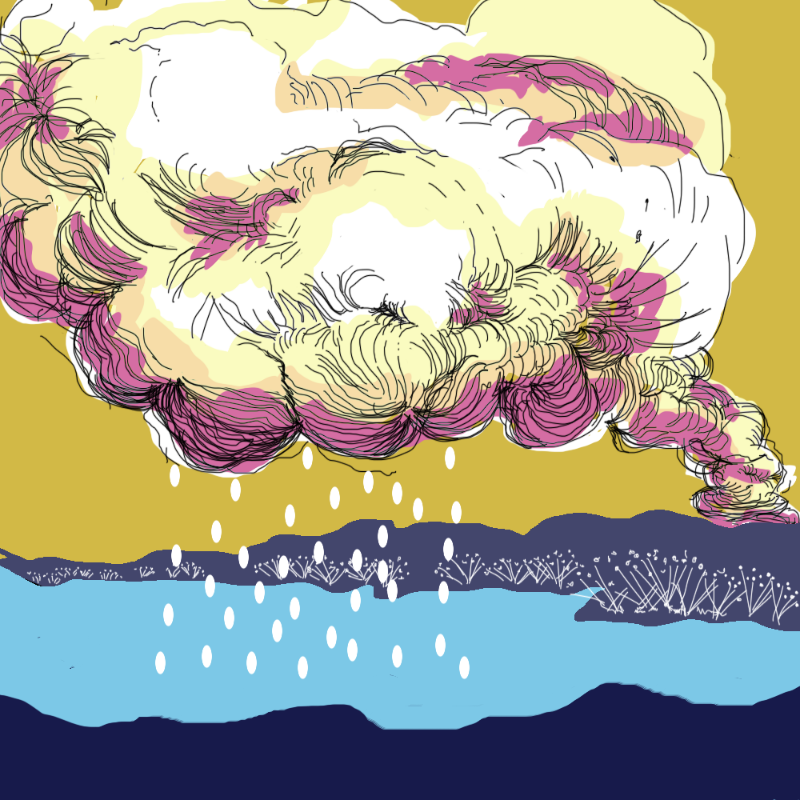colorful rain in the lake #3 static token preview