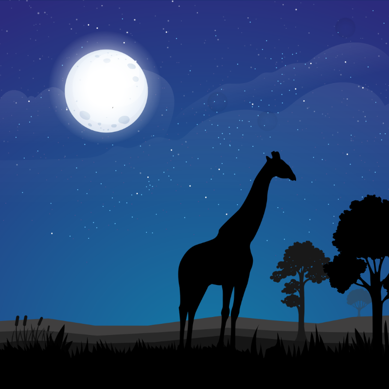 We Care... Giraffe #3 static token preview