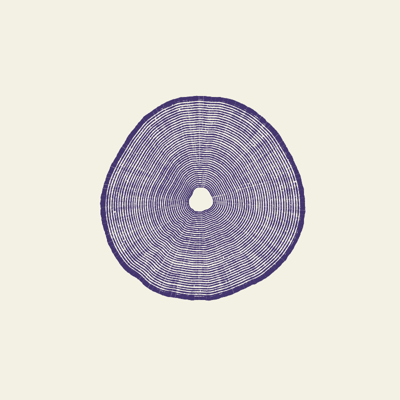 🌲Trunks #2 static token preview