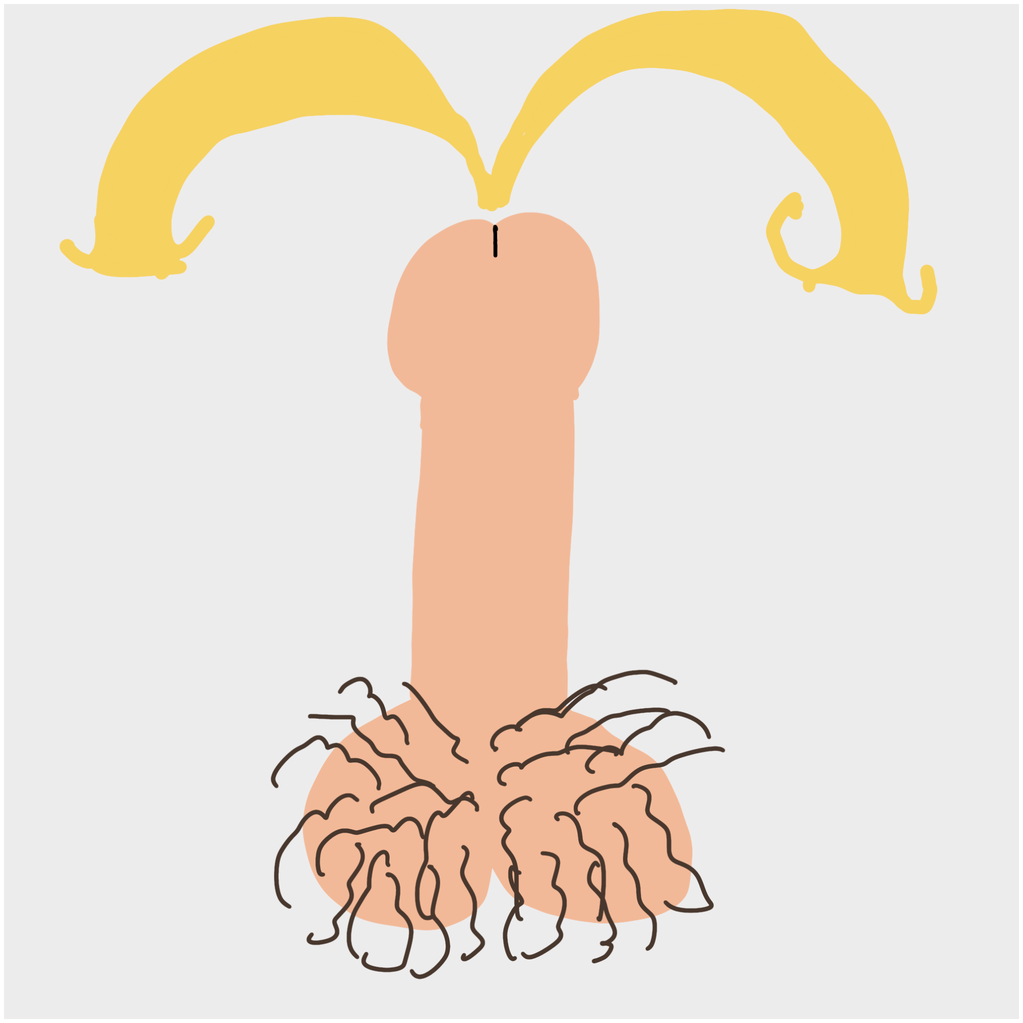 Dickgenerative Art #24 static token preview