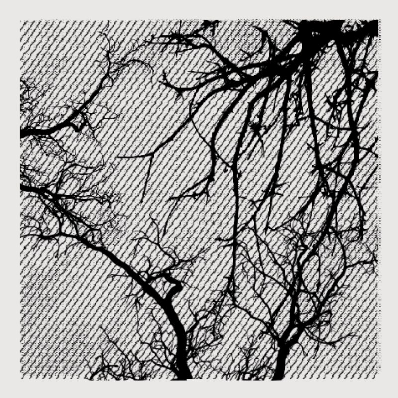 Forest of Shadows #7 static token preview