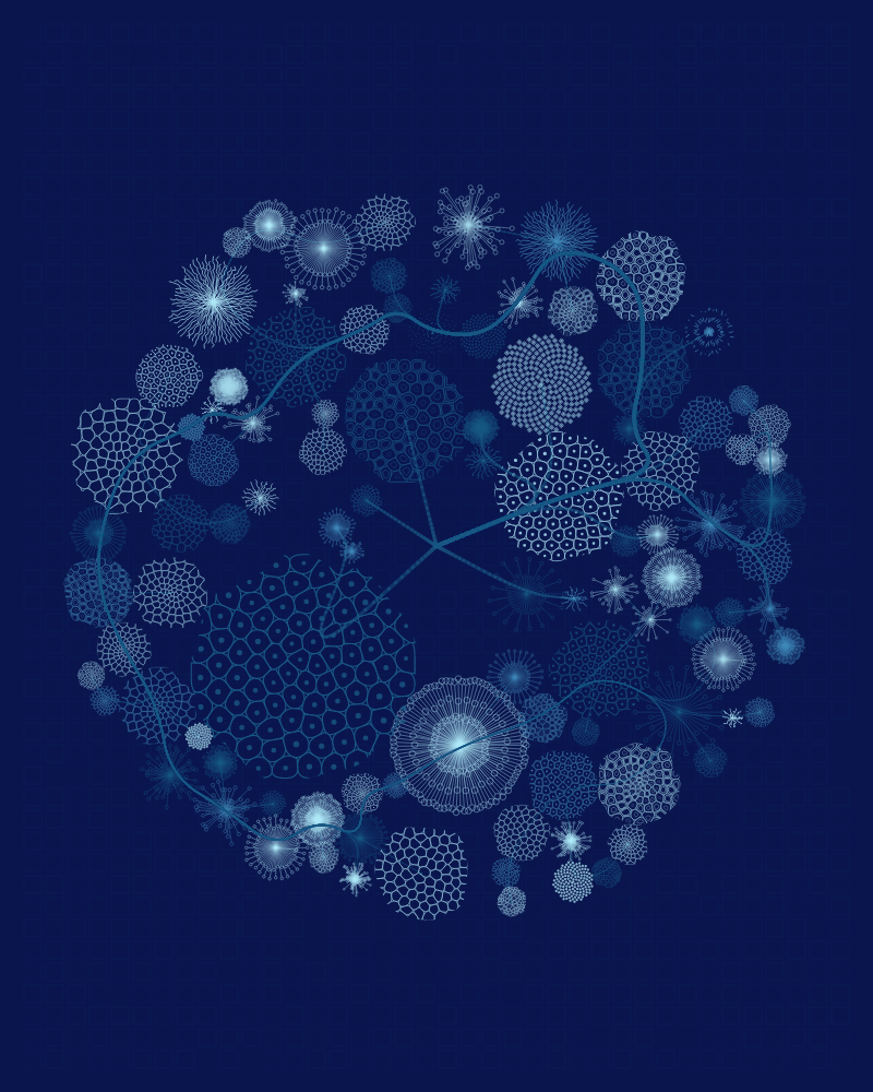 Florilegium #9 static token preview