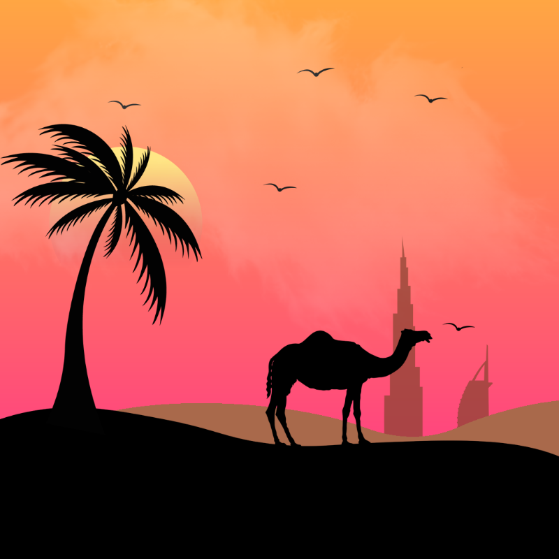We Care...Camel #6 static token preview