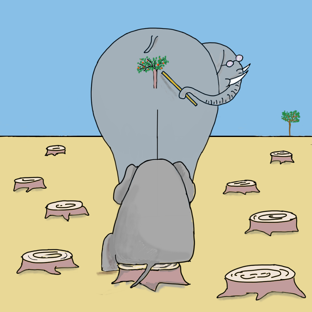 Elephant school #12 static token preview