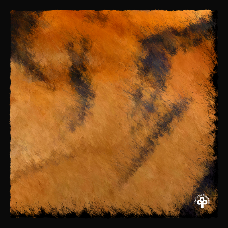 (re)generative tigers #6 static token preview