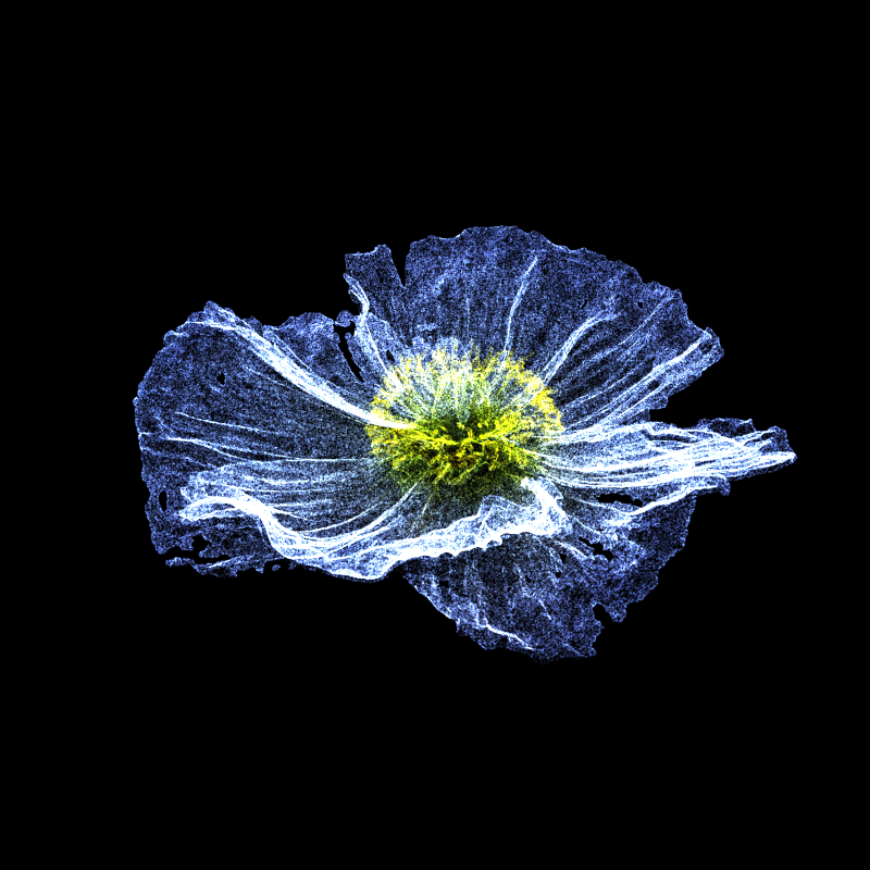 White Poppy 30 #147 static token preview