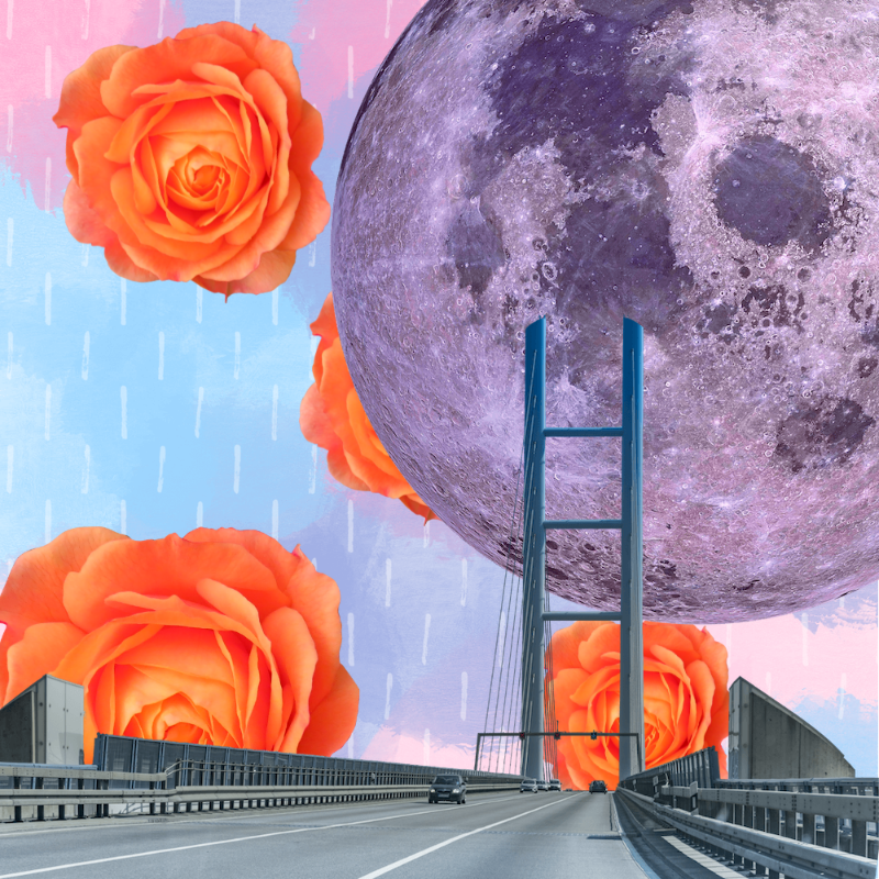 Pink Moon #24 static token preview