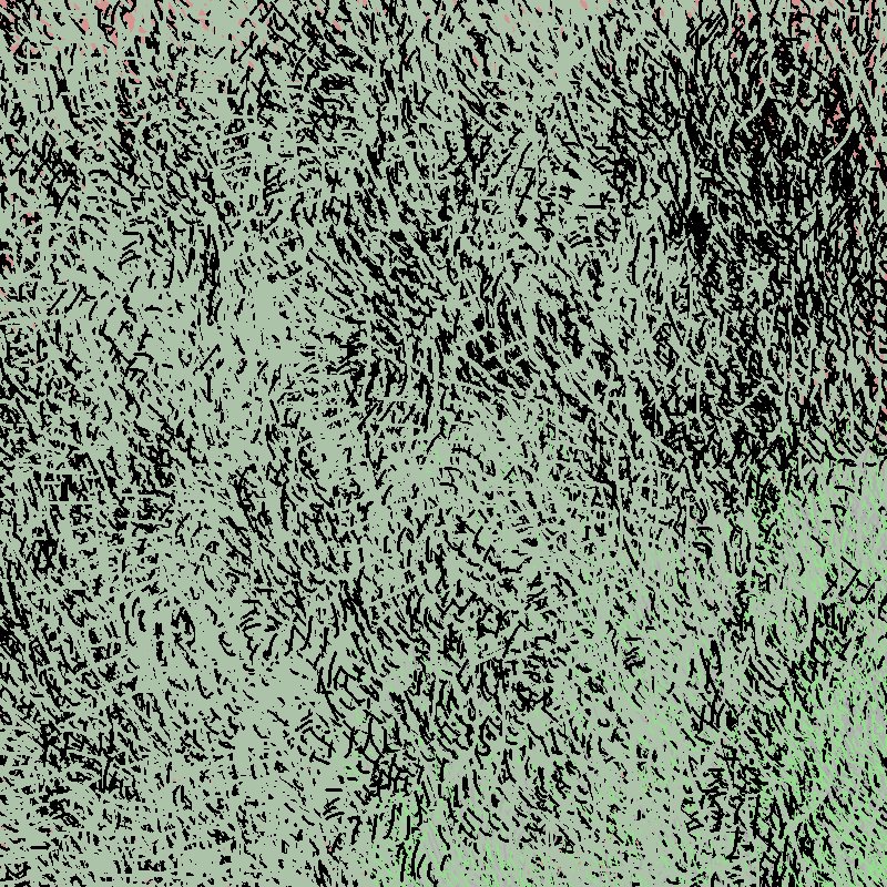 a bird worked on my painting #21 static token preview