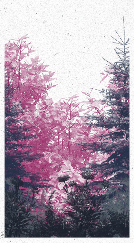 Life in the forest! #21 static token preview