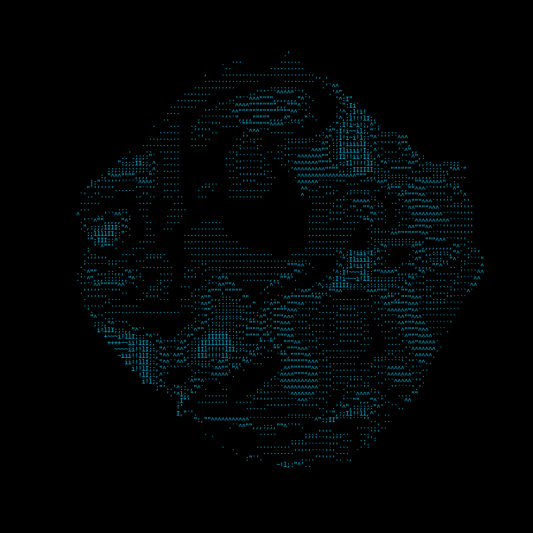 parts of us - ascii #5 static token preview