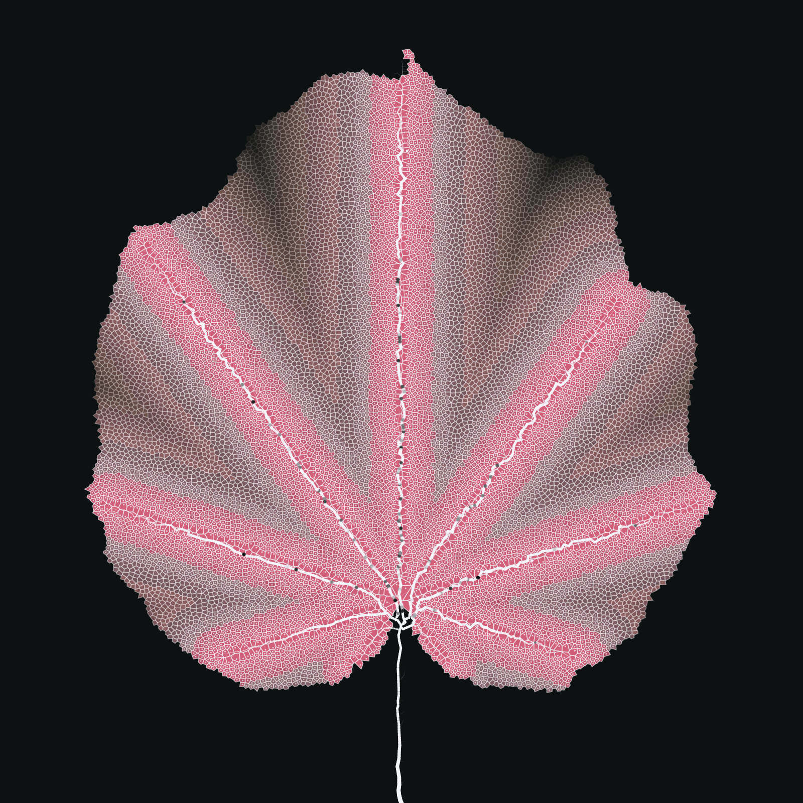 Leaf study #12 static token preview