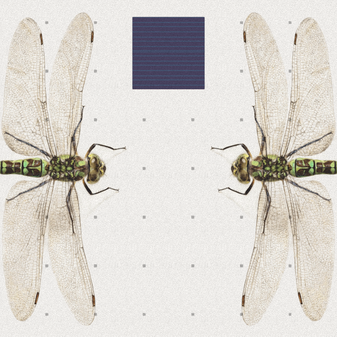 Dragonfly #6 static token preview