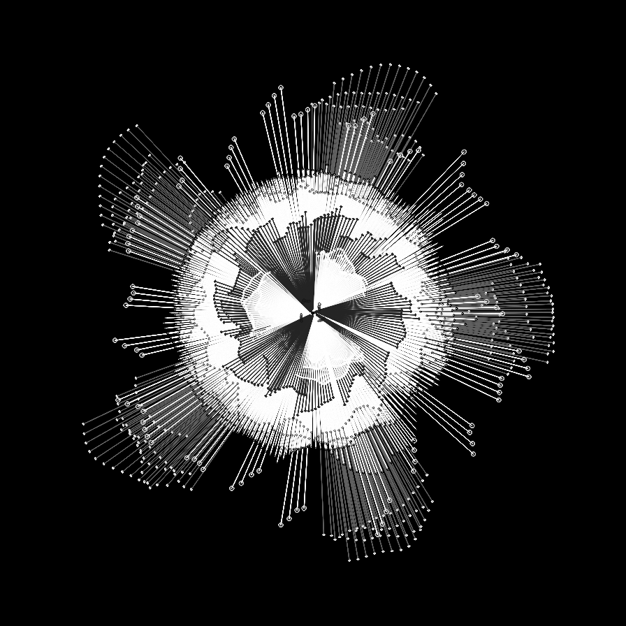 Camellia #20 static token preview