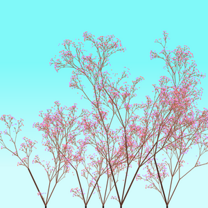 trees project preview