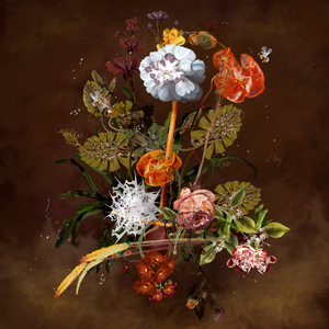 Generative Still Life: Still Life 17.0 project preview