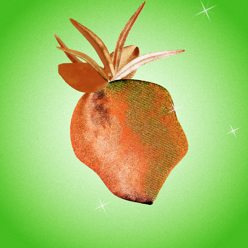 Fresh Fruit #12 static token preview