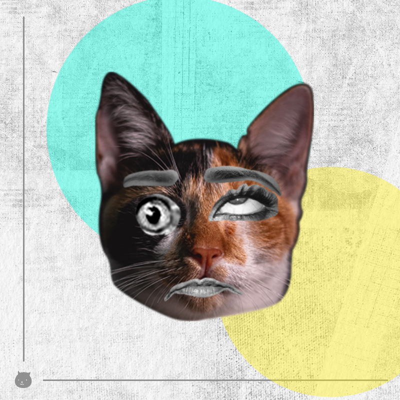 Kittenstein #5 static token preview