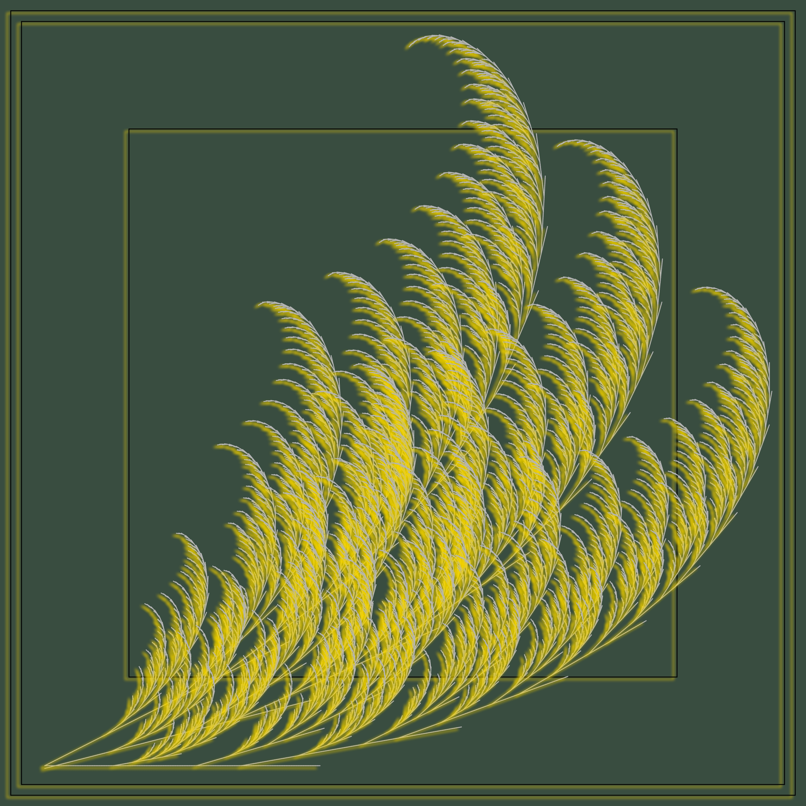 Fern #16 static token preview