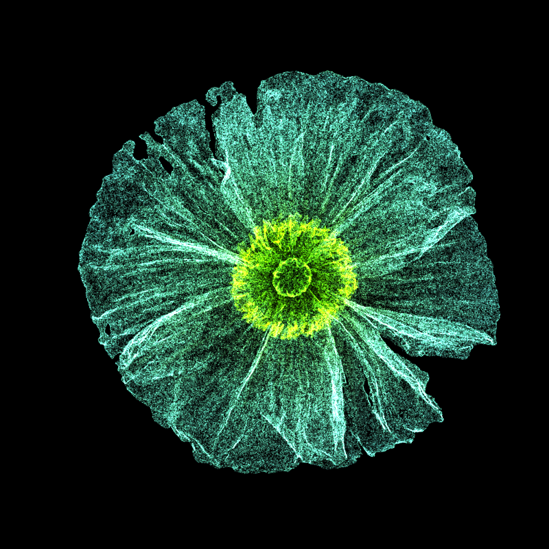 White Poppy 30 #7 static token preview