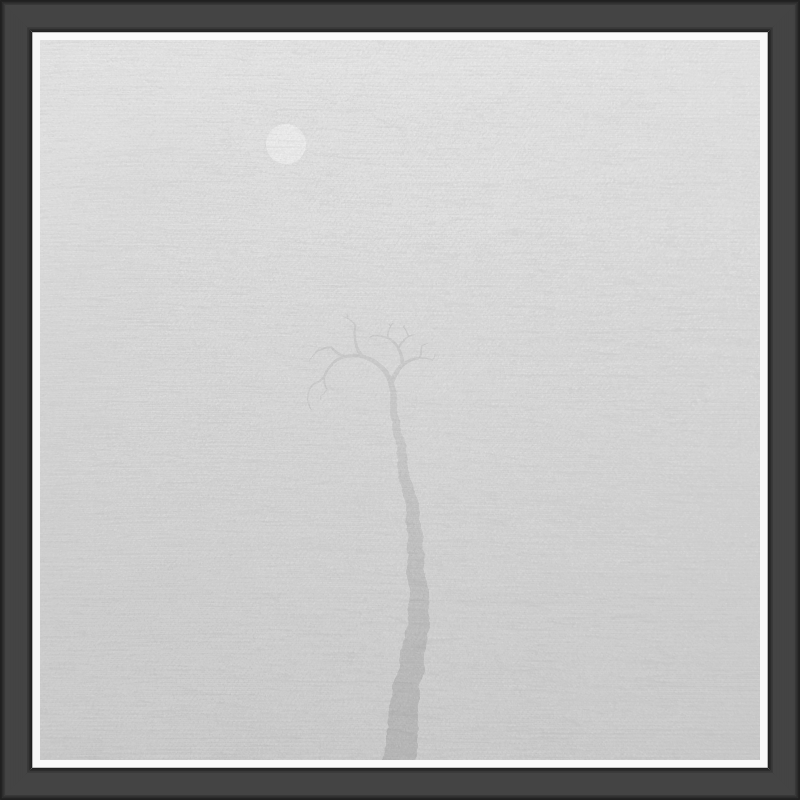 The Foggy Trees #2 static token preview