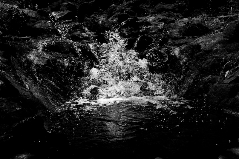 chasing waterfalls #24 static token preview