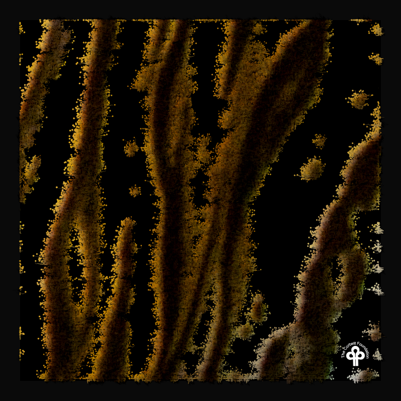 (re)generative tigers #8 static token preview